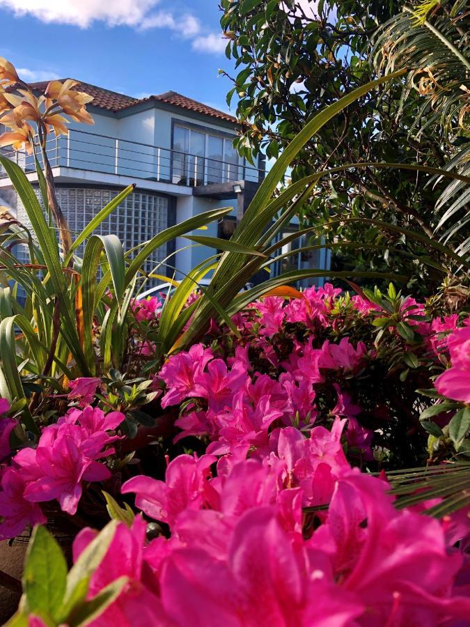 Ponta Delgada Quinta Da Bela Vista 빌라 외부 사진