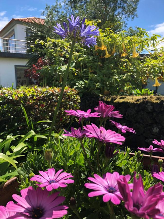 Ponta Delgada Quinta Da Bela Vista 빌라 외부 사진